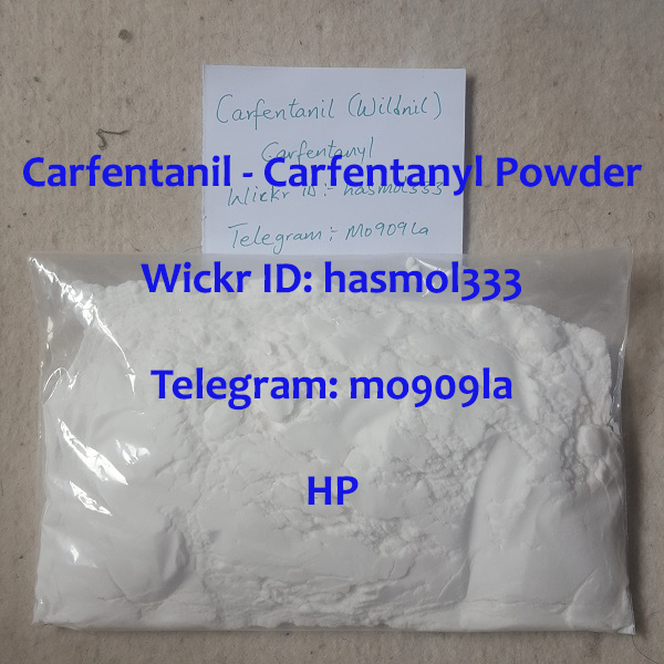 Get Carfentanil - Carfentanyl Powder - Wildnil powder price for sale online can carfentanil be absorbed through the skin can you die from quaaludes canada carfentanil raid printer cartridge carfentanil carfentanil abuse carfentanil addiction carfentanil and ems providers carfentanil and naloxone carfentanil antidote carfentanil arma chimica carfentanil attorney carfentanil brand name carfentanil bust carfentanil buy carfentanil canada carfentanil cas carfentanil cayman carfentanil cdc carfentanil chemical structure carfentanil china carfentanil citrate carfentanil compared to fentanyl carfentanil compared to morphine carfentanil comparison carfentanil cost carfentanil dangers carfentanil darts carfentanil dea schedule carfentanil deaths carfentanil definition carfentanil detox carfentanil dosage carfentanil dose for elephants carfentanil droga carfentanil drug carfentanil drug bust carfentanil drug deaths statistics carfentanil drug test carfentanil duration carfentanil duration of action carfentanil efectos en humanos carfentanil effects carfentanil effects on the body carfentanil effetti carfentanil elephant carfentanil elephant dose carfentanil elephant tranquilizer carfentanil en francais carfentanil erowid carfentanil exposure carfentanil exposure protection carfentanil fact sheet carfentanil fda carfentanil for research carfentanil from ana animal aneathetic to carfentanil from china carfentanil gas carfentanil gebruik carfentanil generic carfentanil half life carfentanil hapten carfentanil high carfentanil history carfentanil human exposure protocol carfentanil hydrochloride carfentanil in humans carfentanil in texas carfentanil indications carfentanil instant death carfentanil instant overdose carfentanil is commonly used as carfentanil kaufen carfentanil kopen carfentanil ld50 carfentanil legal carfentanil lethal dose carfentanil line drawing carfentanil maker carfentanil mass spectrum carfentanil meaning carfentanil meaning in hindi carfentanil meaning in urdu carfentanil metabolism carfentanil metabolites carfentanil molecular weight carfentanil more potent than fentanyl carfentanil morphine equivalent carfentanil moscow theater carfentanil mw carfentanil naloxone carfentanil narcan carfentanil ncbi carfentanil nederlands carfentanil nedir carfentanil new spray carfentanil new york carfentanil norge carfentanil nytimes carfentanil o que é carfentanil online carfentanil online order carfentanil or carfentanyl carfentanil other names carfentanil overdose carfentanil overdose amount carfentanil overdose deaths carfentanil overdose symptoms carfentanil overdose treatment carfentanil oxalate carfentanil para que sirve carfentanil penny carfentanil pills carfentanil pka carfentanil potency carfentanil potency fentanyl carfentanil powder carfentanil price carfentanil producers in thailand carfentanil pronounce carfentanil pronunciation carfentanil pubchem carfentanil que es carfentanil que significa carfentanil reddit carfentanil rehab carfentanil resistant to narcan carfentanil russia carfentanil russie carfentanil sale carfentanil schedule carfentanil schedule ii carfentanil sds carfentanil side effects carfentanil skin carfentanil skin absorption carfentanil spray carfentanil street name carfentanil street price carfentanil street value carfentanil strength carfentanil structure carfentanil synthesis carfentanil taste carfentanil te koop carfentanil testing carfentanil treatment carfentanil uk carfentanil urine drug screen carfentanil use carfentanil use in humans carfentanil used for carfentanil utilisation carfentanil veterinaria carfentanil veterinary medicine carfentanil vs fentanyl carfentanil vs fentanyl potency carfentanil vs fentanyl structure carfentanil vs heroin carfentanil vs iso carfentanil vs morphine carfentanil vs remifentanil carfentanil vs sufentanil carfentanil vs xylazine carfentanil weight carfentanil what is it carfentanil wikipedia carfentanil wildlife carfentanil wildnil carfentanil with naloxone carfentanil with naltrexone carfentanil withdrawal carfentanil zeiss carfentanil zeolite carfentanil zinc carfentanilo carfentanyl chemical formula carfentanyl droga carfentanyl hyperreal carfentanyl kaufen carfentanyl lethal amount carfentanyl lethal dose carfentanyl news carfentanyl pictures carfentanyl strength carfentanyl structure carfentanyl use carfentanyl was first synthesized in carfentanyl wiki catalytic antibody carfentanil difference between fentanyl and carfentanil does carfentanil show in drug test does narcan work on carfentanil dulcie gray cause of death etorphine vs carfentanil fatal dose of carfentanil fentanilo y carfentanil fentanilo y remifentanilo fentanyl and carfentanil as schedule fentanyl and carfentanil can resemble fjernsyn i aften how does carfentanil affect the body how does death cap kill you how is carfentanil made how is carfentanil taken how long does carfentanil stay in your system how much carfentanil is fatal how much carfentanil is lethal how much carfentanil to sedate an elephant how much does carfentanil cost how potent is carfentanil how strong is carfentanil instant test kit for carfentanil is carfentanil an opioid is carfentanil legal is carfentanil legal in china is carfentanil stronger than fentanyl is carfentanil synthetic is carfentanil transdermal is tranquilizer safe is xylazine carfentanil kellagon side effects le carfentanil lethal dose of carfentanil nms carfentanil urine norfentanyl vs carfentanyl o que é carfentanil pictures of carfentanil que es carfentanil que es el carfentanil que significa carfentanil qué es el carfentanil side effects of carfentanil street names for carfentanil tjekbil stelnummer un carfentanil what does carfentanil look like what does ergot do to humans what is carfentanil what is carfentanil commonly used for what is carfentanil made of what is carfentanil prescribed for what is carfentanil used for what is carfentanyl wiki what is stronger than carfentanil what schedule is carfentanil when was carfentanil invented where did carfentanil come from where does carfentanil come from where is carfentanil coming from where to buy carfentanil who invented carfentanil will carfentanil show up on a urin test
